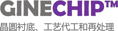 晶基半导体 Ginechip